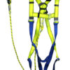 Harness & Lanyard