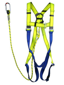 Harness & Lanyard