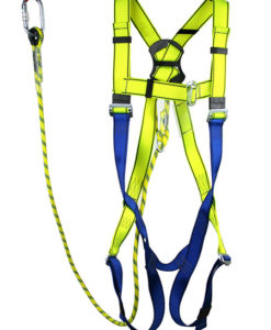 Harness & Lanyard